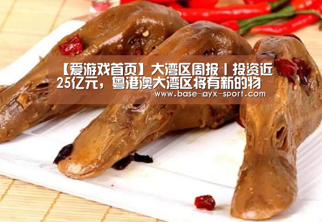 【爱游戏首页】大湾区周报丨投资近25亿元，粤港澳大湾区将有新的物流中心和粮仓