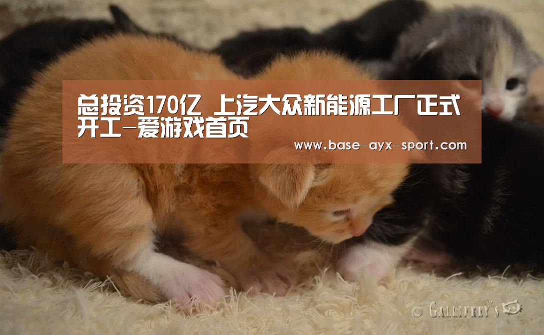 总投资170亿 上汽大众新能源工厂正式开工-爱游戏首页