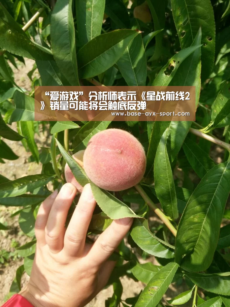 “爱游戏”分析师表示《星战前线2》销量可能将会触底反弹