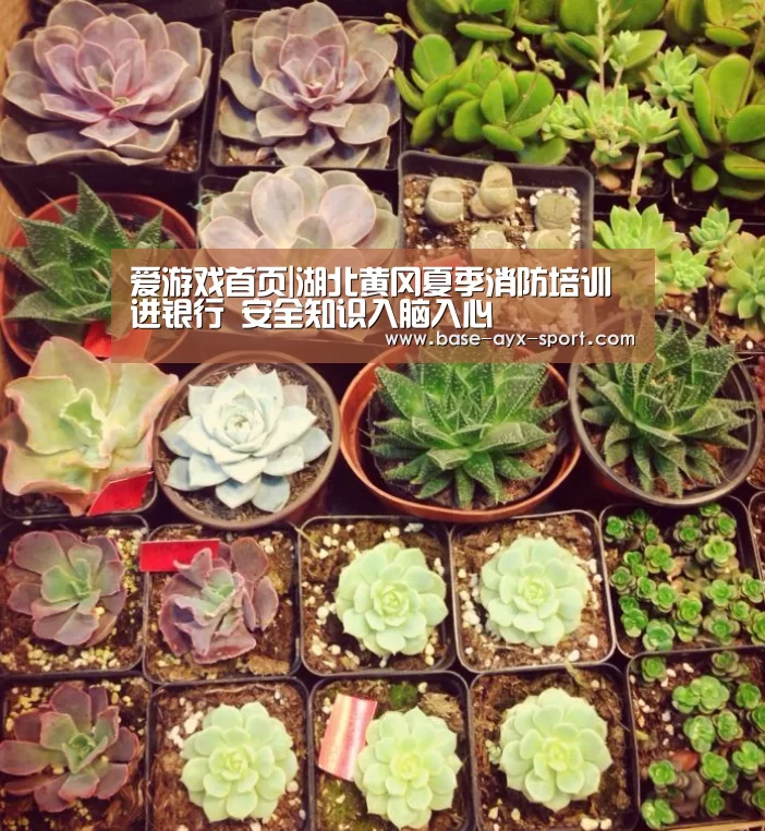 爱游戏官网
