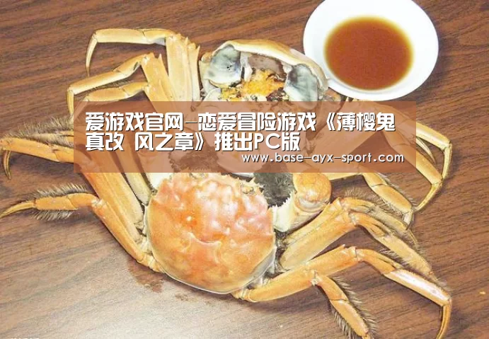 爱游戏体育